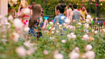 Killer in Suburbia (2020) download