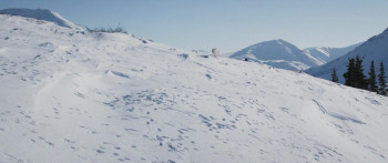 Kina & Yuk (2023) download