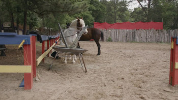 Knight Life (2025) download