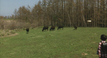 Kogitsune Heren (2006) download