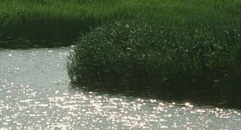 Kogitsune Heren (2006) download