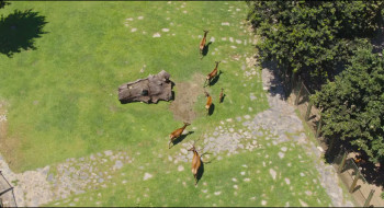 Konusan Hayvanlar (2019) download