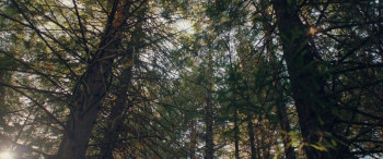 Kryptic (2024) download