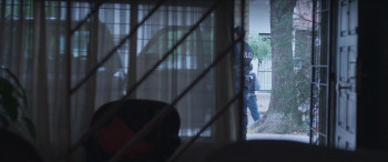 La mujer de la fila (2025) download