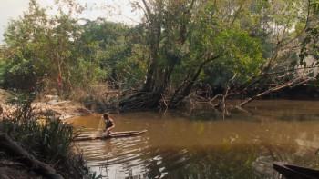 Land Looters (2026) download