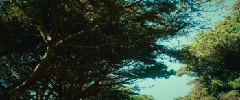 Land's End (2025) download