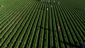 Last Call at the Oasis (2011) download