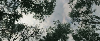 Last Ride (2023) download