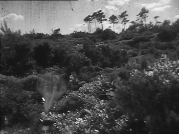 Le club des soupirants (1941) download