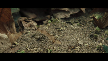 Le train (2025) download