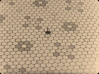 Leave 'em Laughing (1928) download