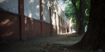 León (2023) download