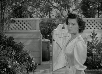 Let's Make It Legal (1951) download