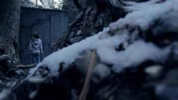 Liars, Fires and Bears (2012) download