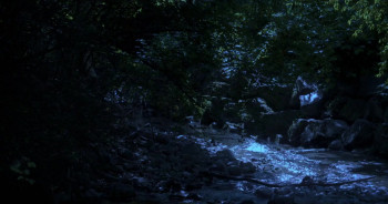 L'ilôt (2022) download