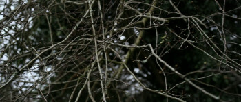 Little Deaths (2011) download