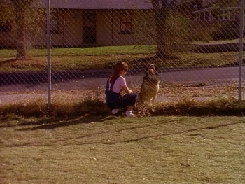 Little Heroes (1991) download