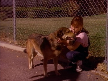 Little Heroes (1991) download