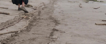 Lone Samurai (2025) download