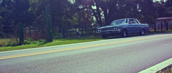 Looking in the Mirror (2019) download