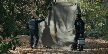 Los renacidos (2025) download