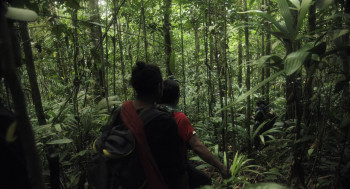 Lost in the Amazon (2024) download
