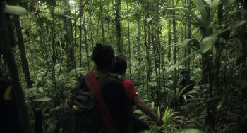 Lost in the Jungle (2025) download