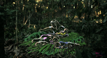Lost in the Jungle (2025) download