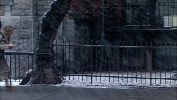 Love and Magnets (2004) download