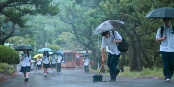 Love Untangled (2025) download