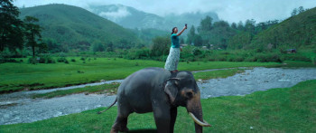 Made in Korea (2026) download