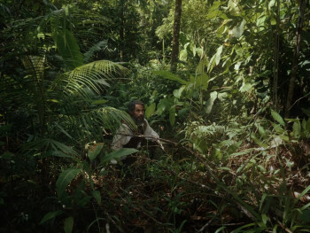 Magellan (2025) download