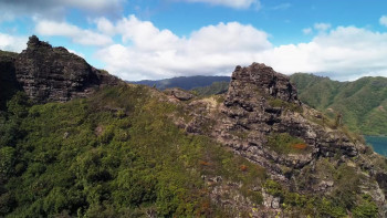 Maui Shark Mystery (2022) download