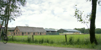 Meat Kills (2025) download