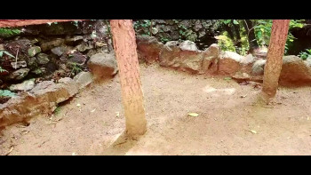 Mega Ape (2023) download