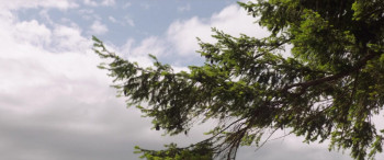 Midday Black Midnight Blue (2022) download