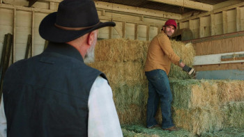 Minor Leaguer (2024) download