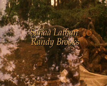 Miracle in the Woods (1997) download