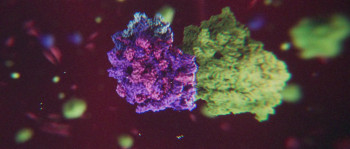 Mirror Life (2025) download