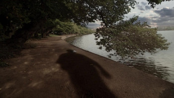 Mo Amer: Wild World (2025) download