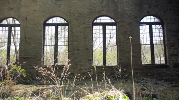 Mole Man (2017) download