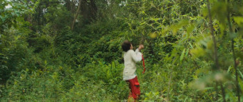 Moon le panda (2025) download