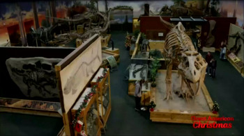 Morning Glory (1933) download