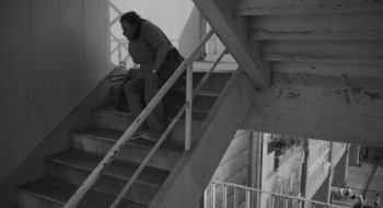 Moscas (2026) download