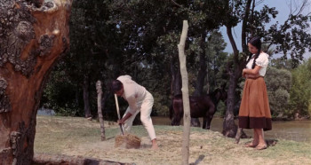 Murieta! (1965) download