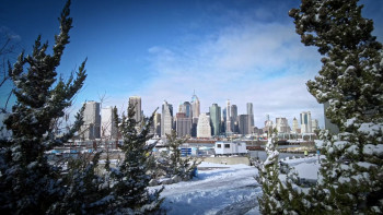 My Christmas Family Tree (2021) download