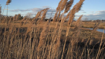 Never Be A Punching Bag for Nobody (2023) download