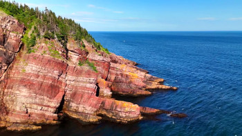 Newfoundland (2025) download