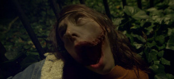 NFT: Cursed Images (2026) download