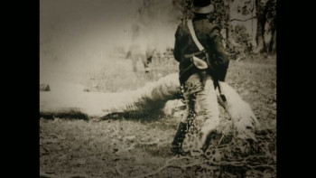 Nick Cave's Veiled World (2025) download